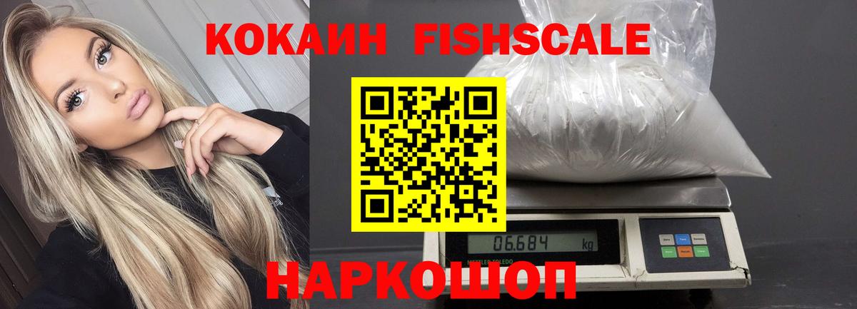 Псилоцибиновые грибы Гусев