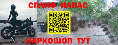 прущие крисы Балашиха