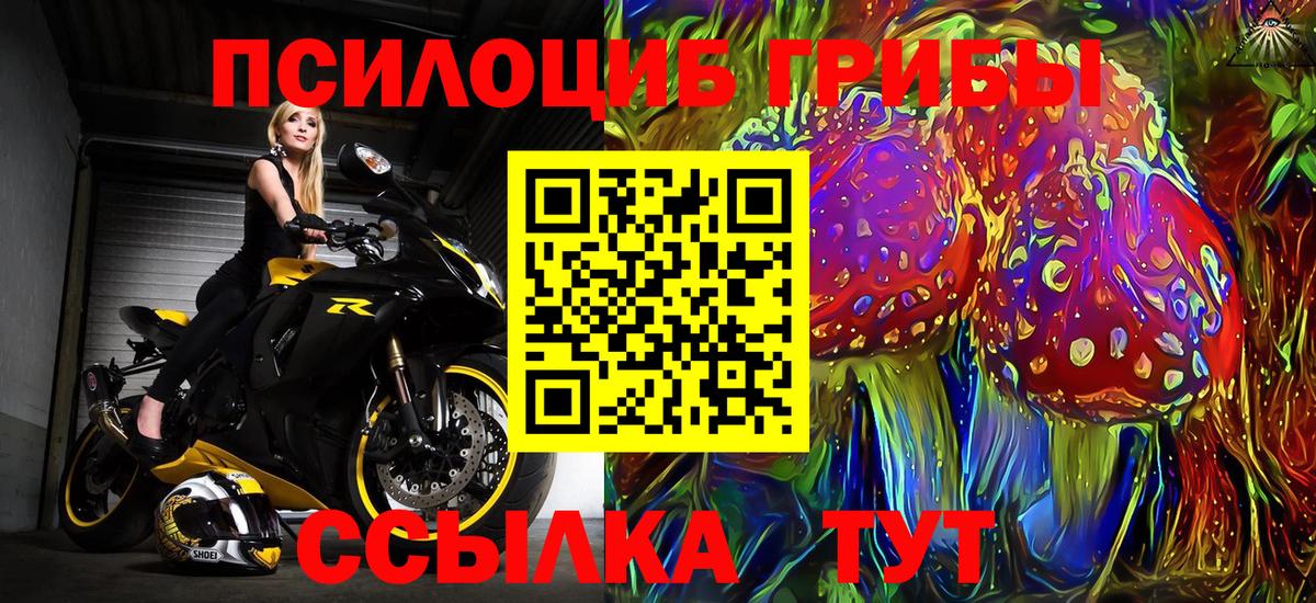 Галлюциногенные грибы GOLDEN TEACHER  наркота  Гусев  Вход с VPN 