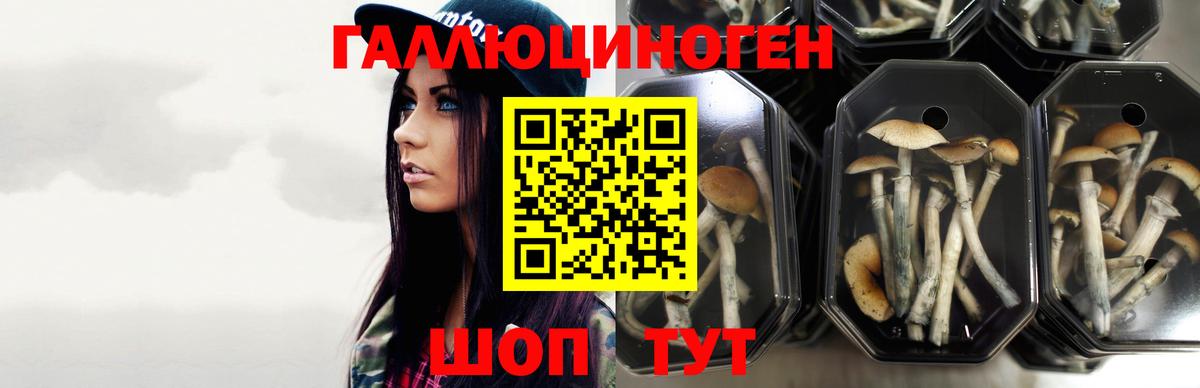 Мефедрон кристаллы  Гашиш  Гусев  Канабис  АМФ   Вход с VPN  ГАШИШ  COCAIN  Купить наркотики 